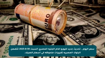سعر اليوم.. تحديث جديد لليورو أمام الجنيه المصري السبت 30-8-2025 تتضمن البنوك المصرية تغييرات ملحوظة في أسعار الصرف.